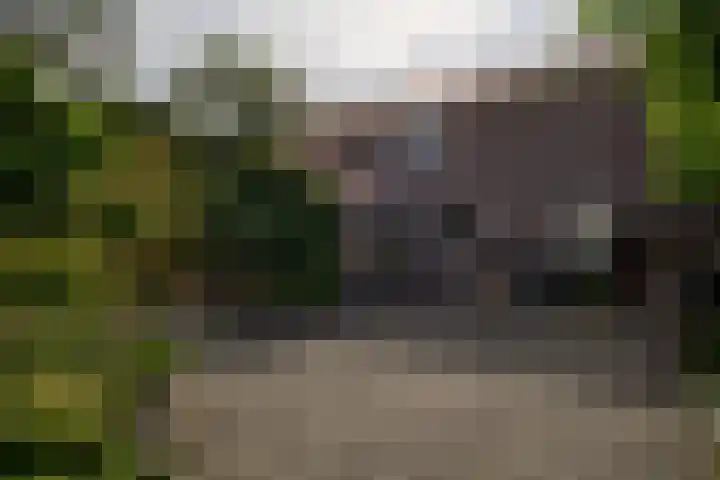 Vliegtuigweg 5 Nagele thumbnail 25