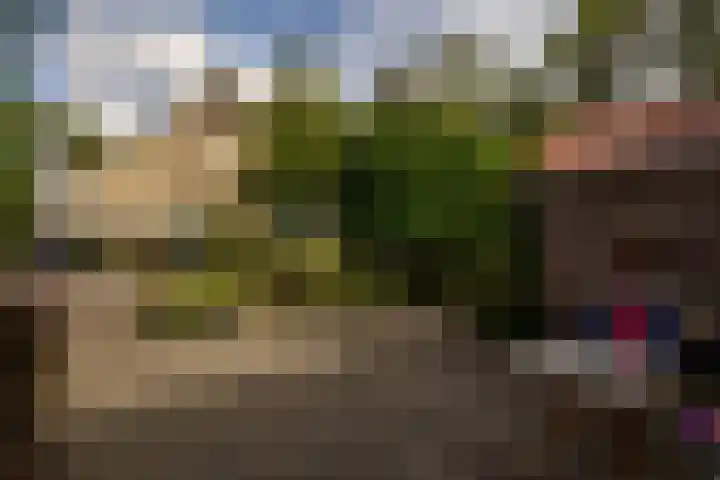 Vliegtuigweg 5 Nagele thumbnail 26