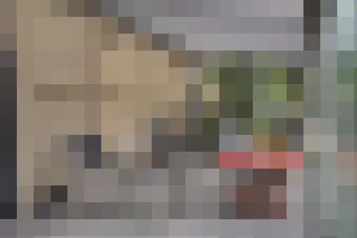 Vliegtuigweg 5 Nagele thumbnail 28