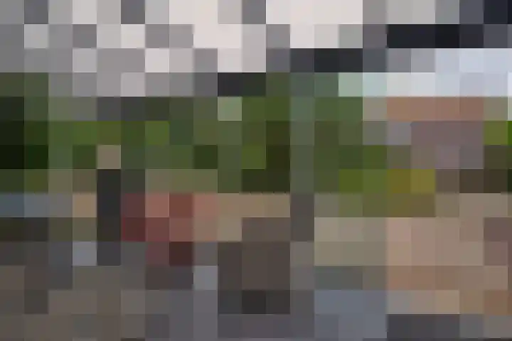 Vliegtuigweg 5 Nagele thumbnail 29