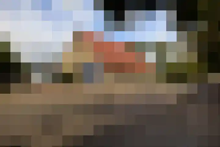Vliegtuigweg 5 Nagele thumbnail 30