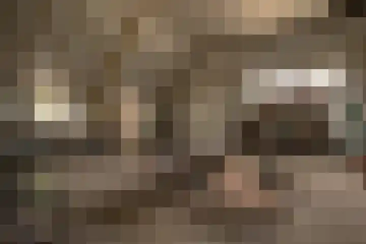 Vliegtuigweg 5 Nagele thumbnail 33