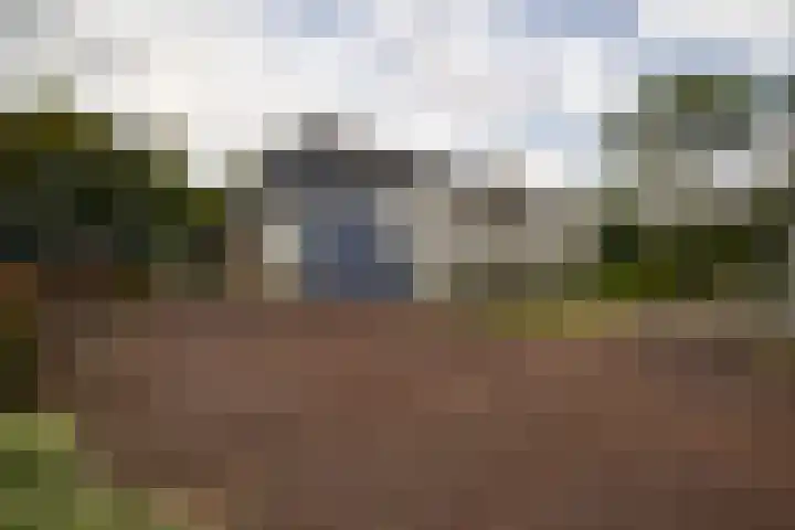 Vliegtuigweg 5 Nagele thumbnail 35
