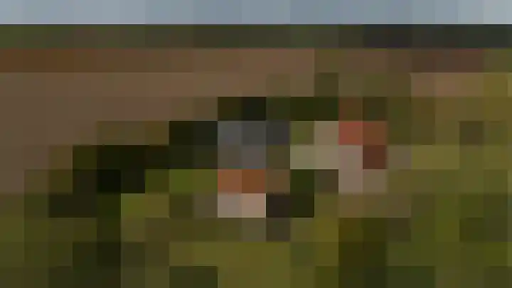 Vliegtuigweg 5 Nagele thumbnail 39