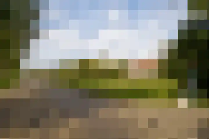 Vliegtuigweg 5 Nagele thumbnail 4