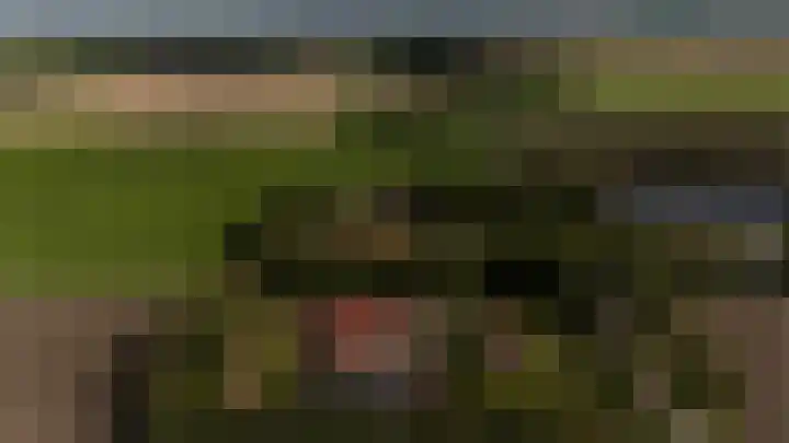 Vliegtuigweg 5 Nagele thumbnail 41