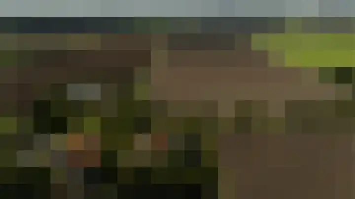 Vliegtuigweg 5 Nagele thumbnail 43