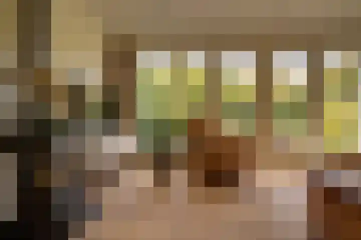 Vliegtuigweg 5 Nagele thumbnail 8