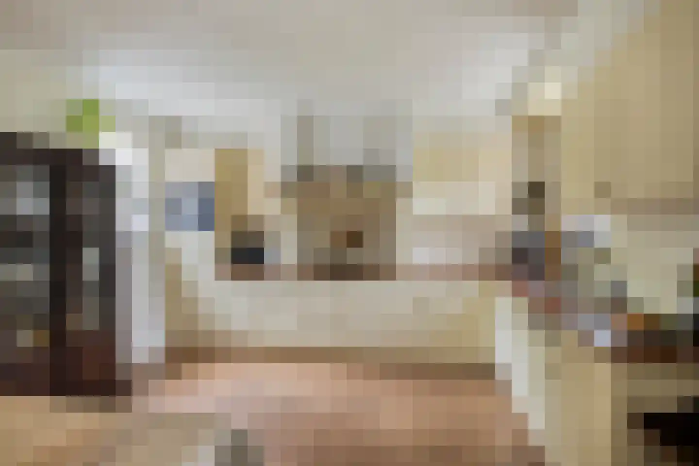 Vliegveldstraat 3 Deurningen thumbnail 11
