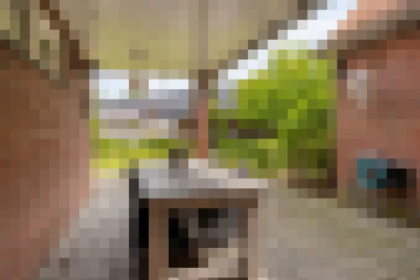 Vliegveldstraat 3 Deurningen thumbnail 25