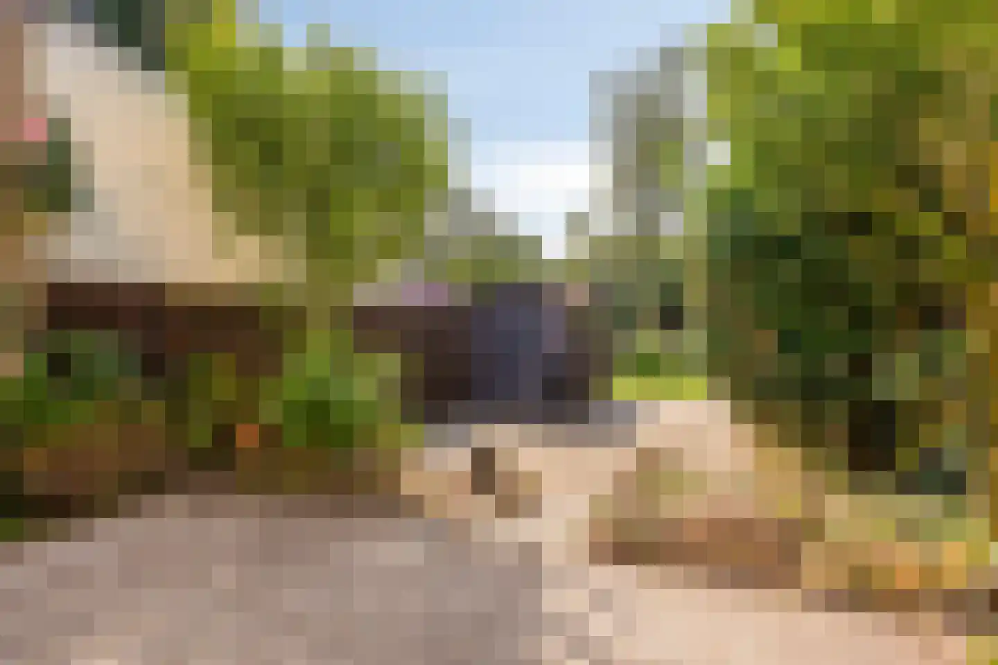 Vliegveldweg 55 Rotterdam thumbnail 21