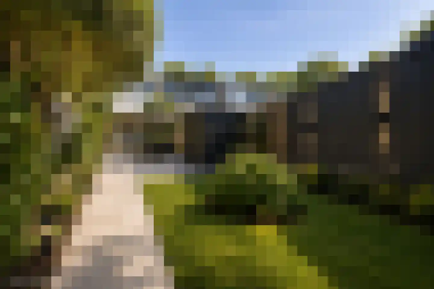 Vliegveldweg 55 Rotterdam thumbnail 4