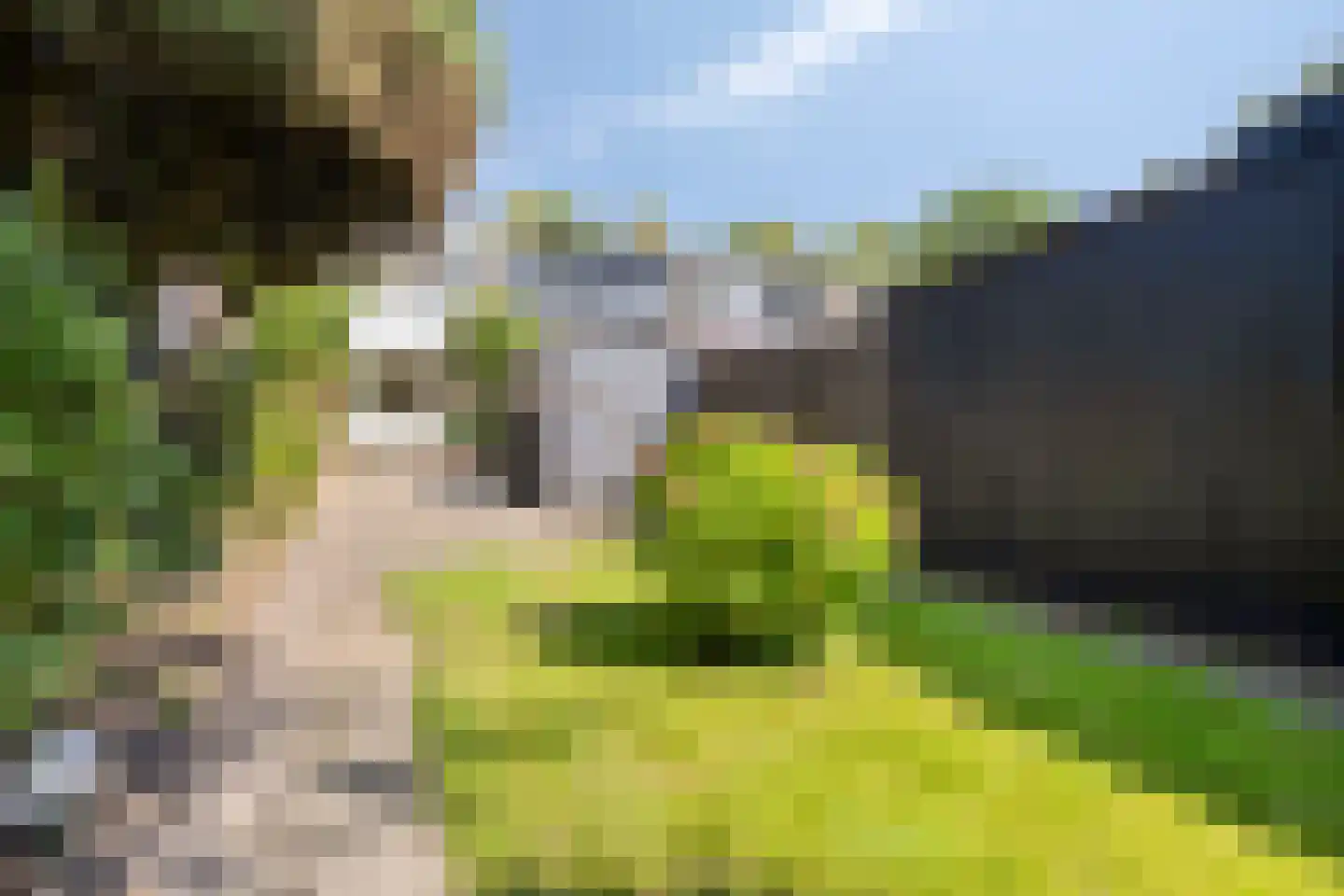 Vliegveldweg 55 Rotterdam thumbnail 5