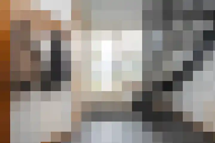 Vliegwiel 13 Oudeschild thumbnail 10