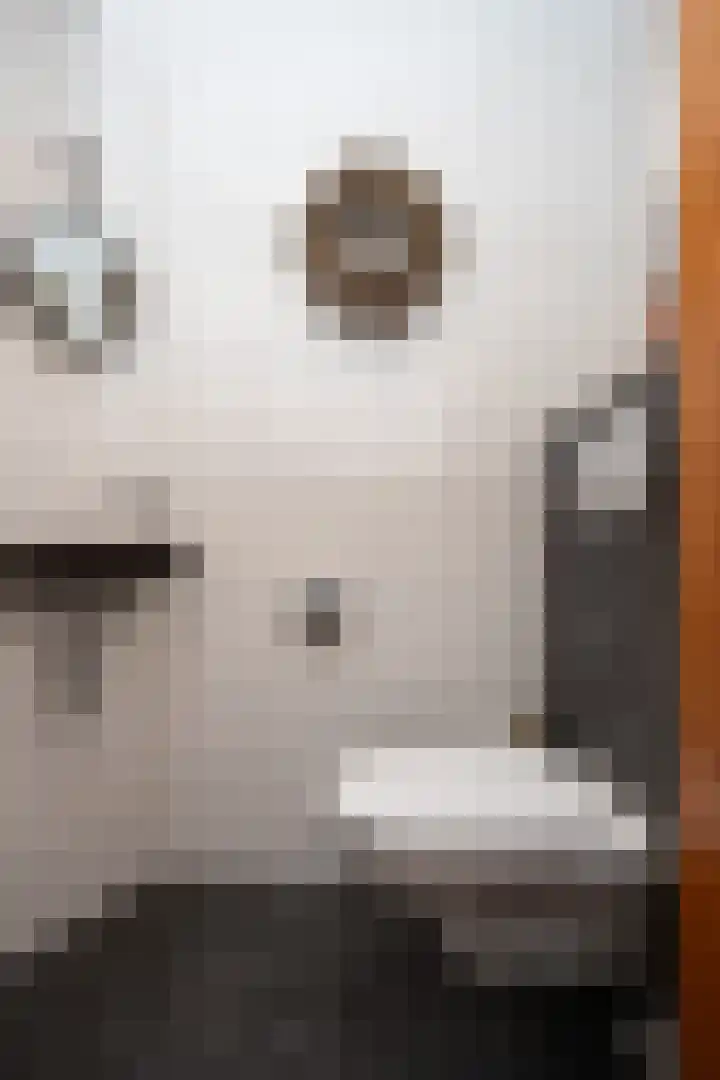 Vliegwiel 13 Oudeschild thumbnail 11