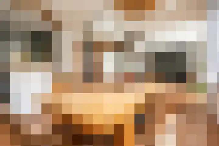 Vliegwiel 13 Oudeschild thumbnail 13