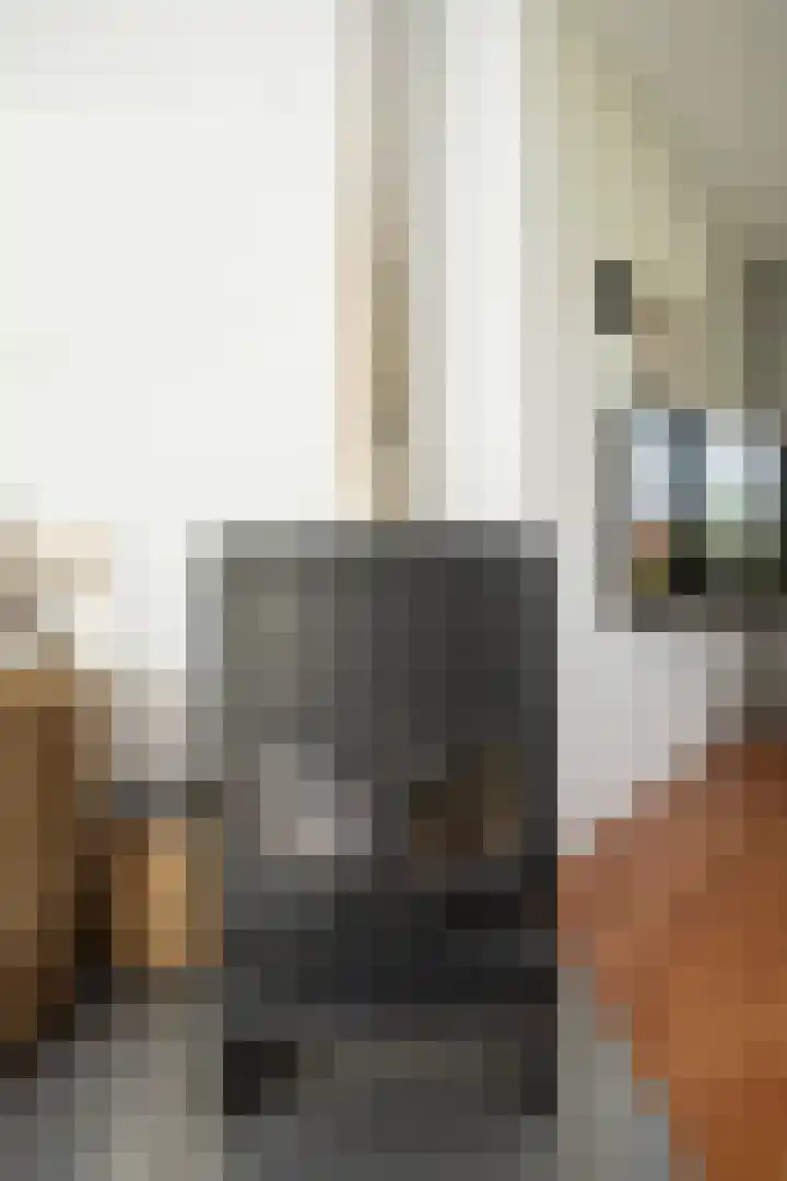 Vliegwiel 13 Oudeschild thumbnail 16