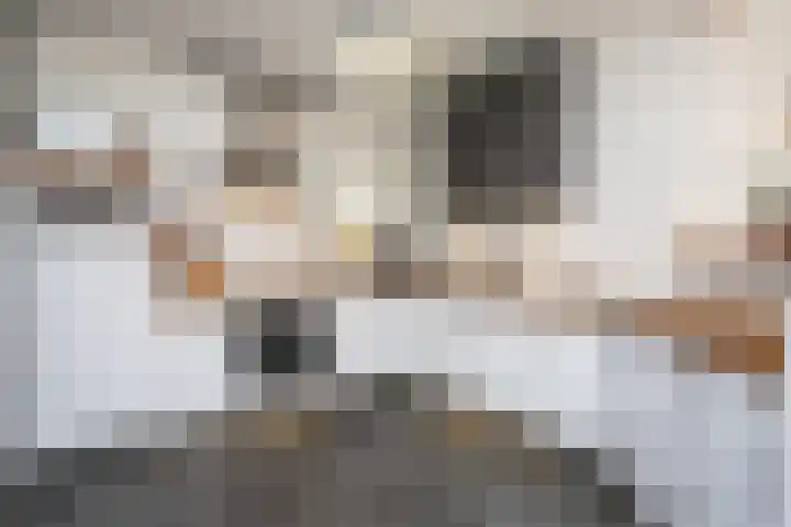 Vliegwiel 13 Oudeschild thumbnail 18