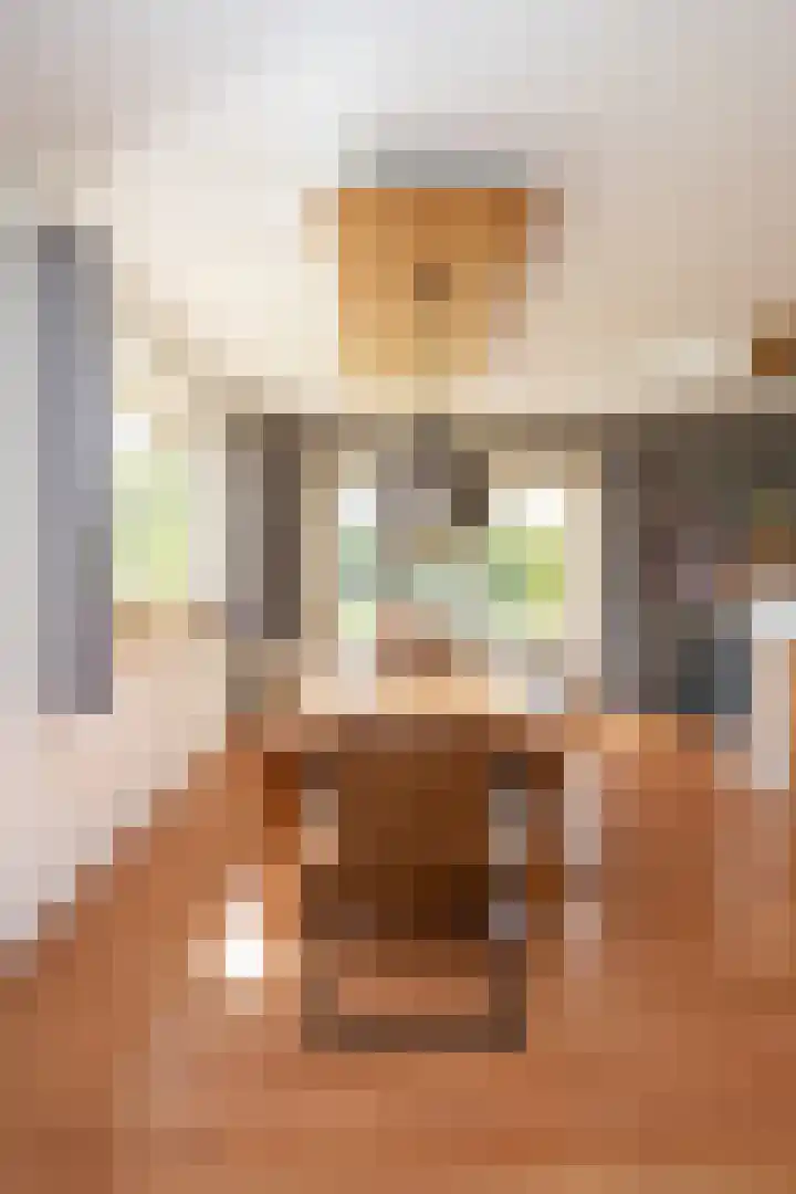 Vliegwiel 13 Oudeschild thumbnail 19