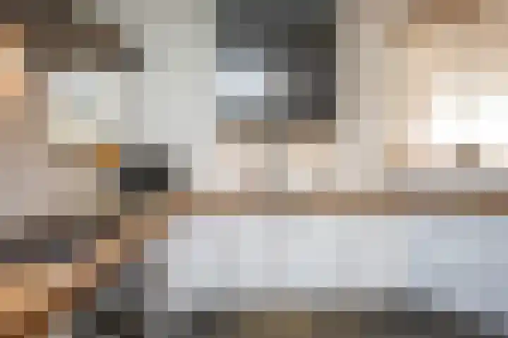 Vliegwiel 13 Oudeschild thumbnail 20