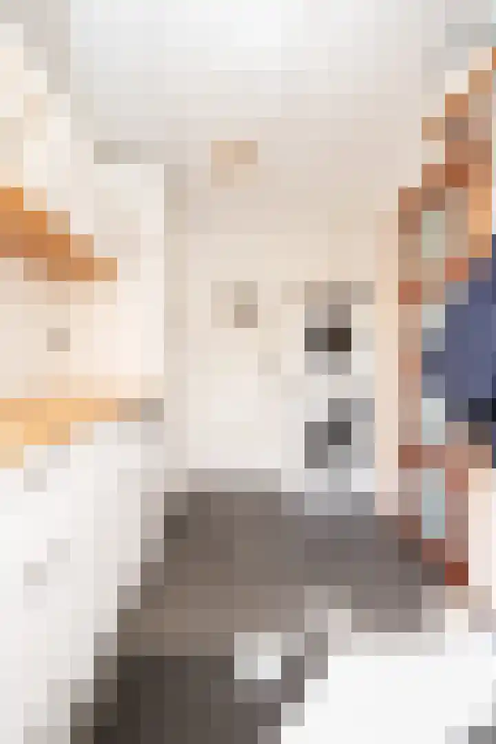 Vliegwiel 13 Oudeschild thumbnail 23