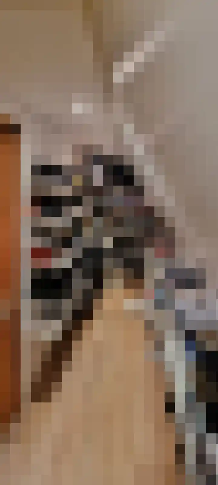 Vliegwiel 13 Oudeschild thumbnail 24
