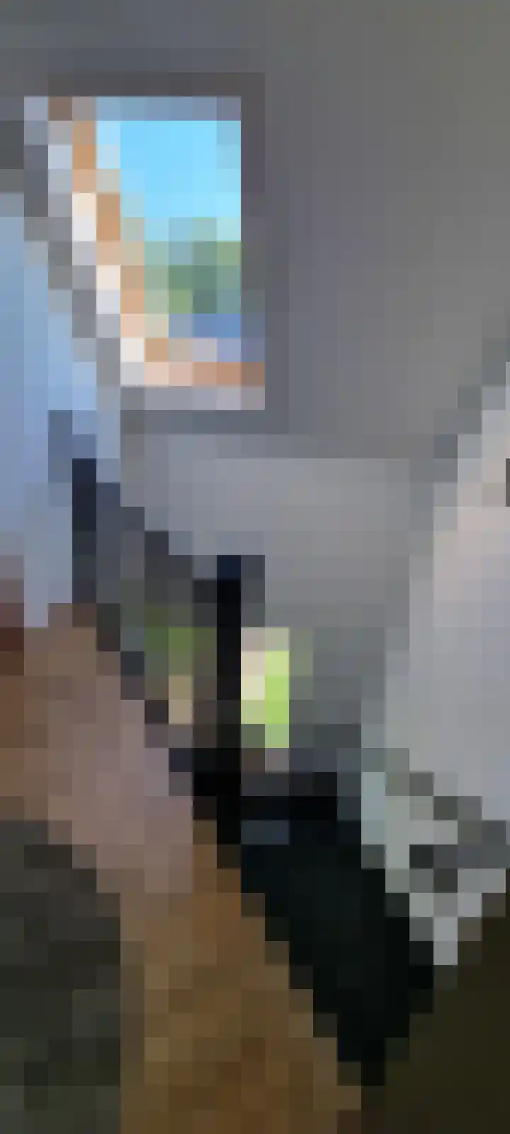 Vliegwiel 13 Oudeschild thumbnail 25