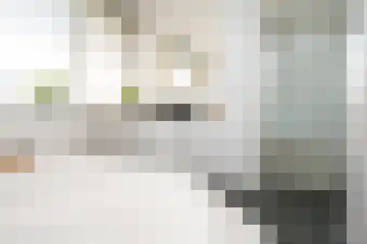 Vliegwiel 13 Oudeschild thumbnail 33