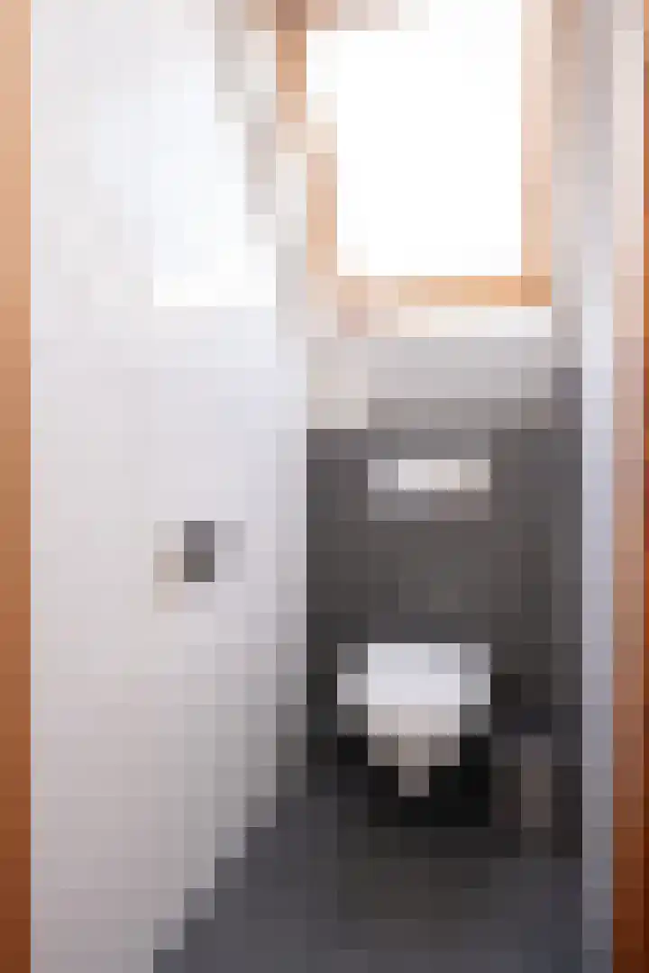 Vliegwiel 13 Oudeschild thumbnail 37