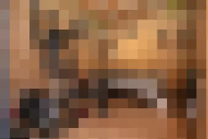 Vliegwiel 13 Oudeschild thumbnail 44