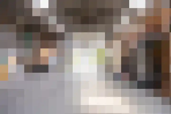 Vliegwiel 13 Oudeschild thumbnail 46