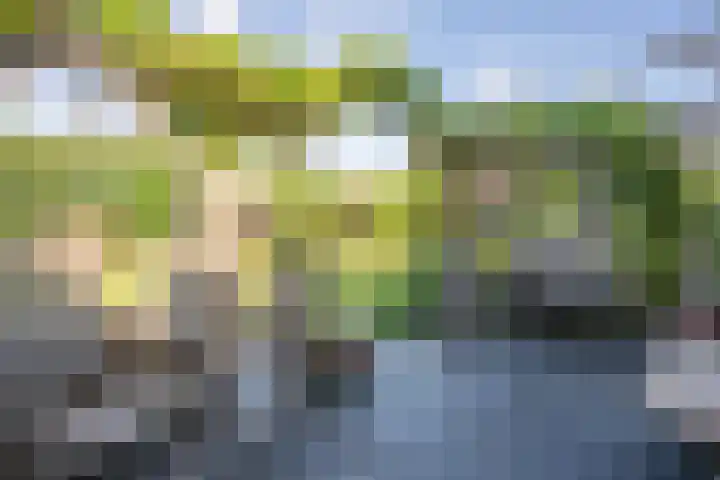 Vliegwiel 13 Oudeschild thumbnail 48