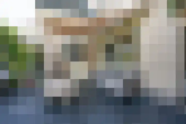 Vliegwiel 13 Oudeschild thumbnail 49
