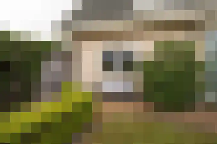Vliegwiel 13 Oudeschild thumbnail 5
