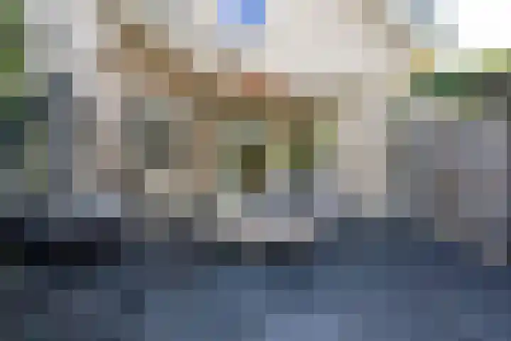 Vliegwiel 13 Oudeschild thumbnail 50