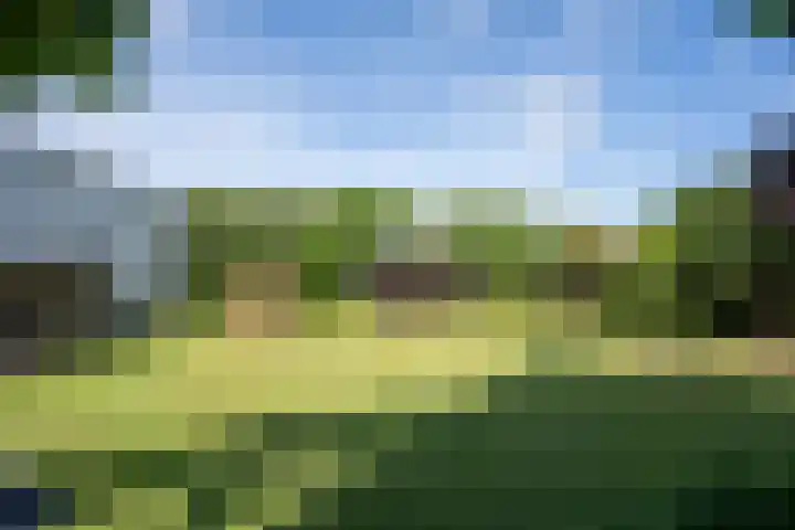 Vliegwiel 13 Oudeschild thumbnail 51