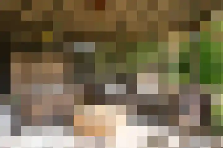 Vliegwiel 13 Oudeschild thumbnail 52