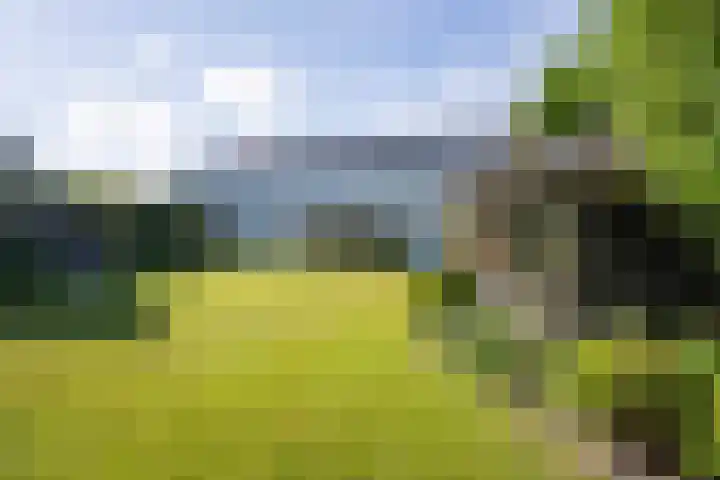 Vliegwiel 13 Oudeschild thumbnail 53