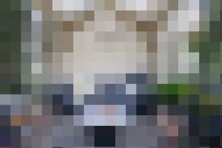 Vliegwiel 13 Oudeschild thumbnail 54