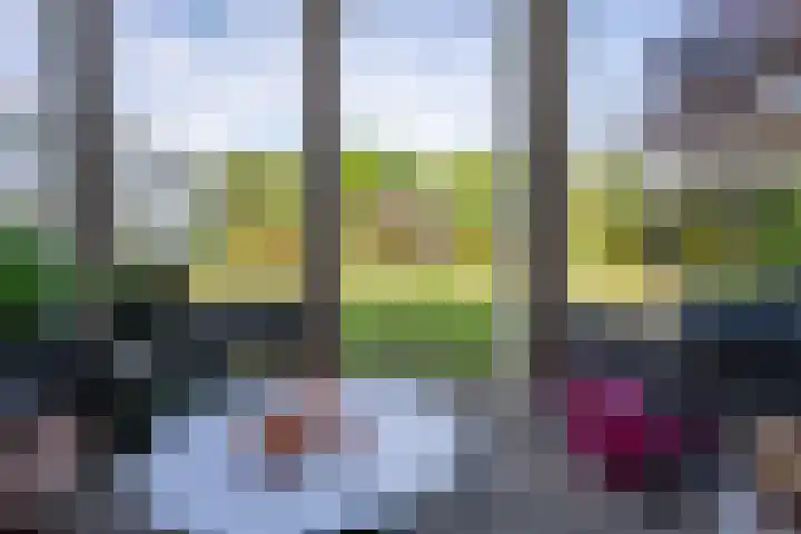 Vliegwiel 13 Oudeschild thumbnail 55
