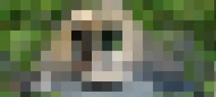 Vliegwiel 13 Oudeschild thumbnail 56