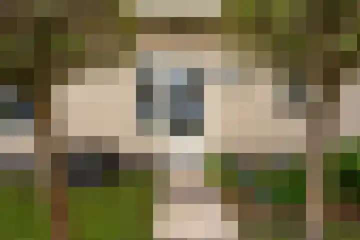 Vliegwiel 13 Oudeschild thumbnail 7