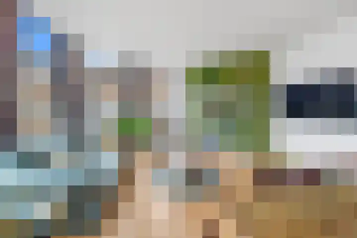 Vliegwielstraat 4 Den Haag thumbnail 9