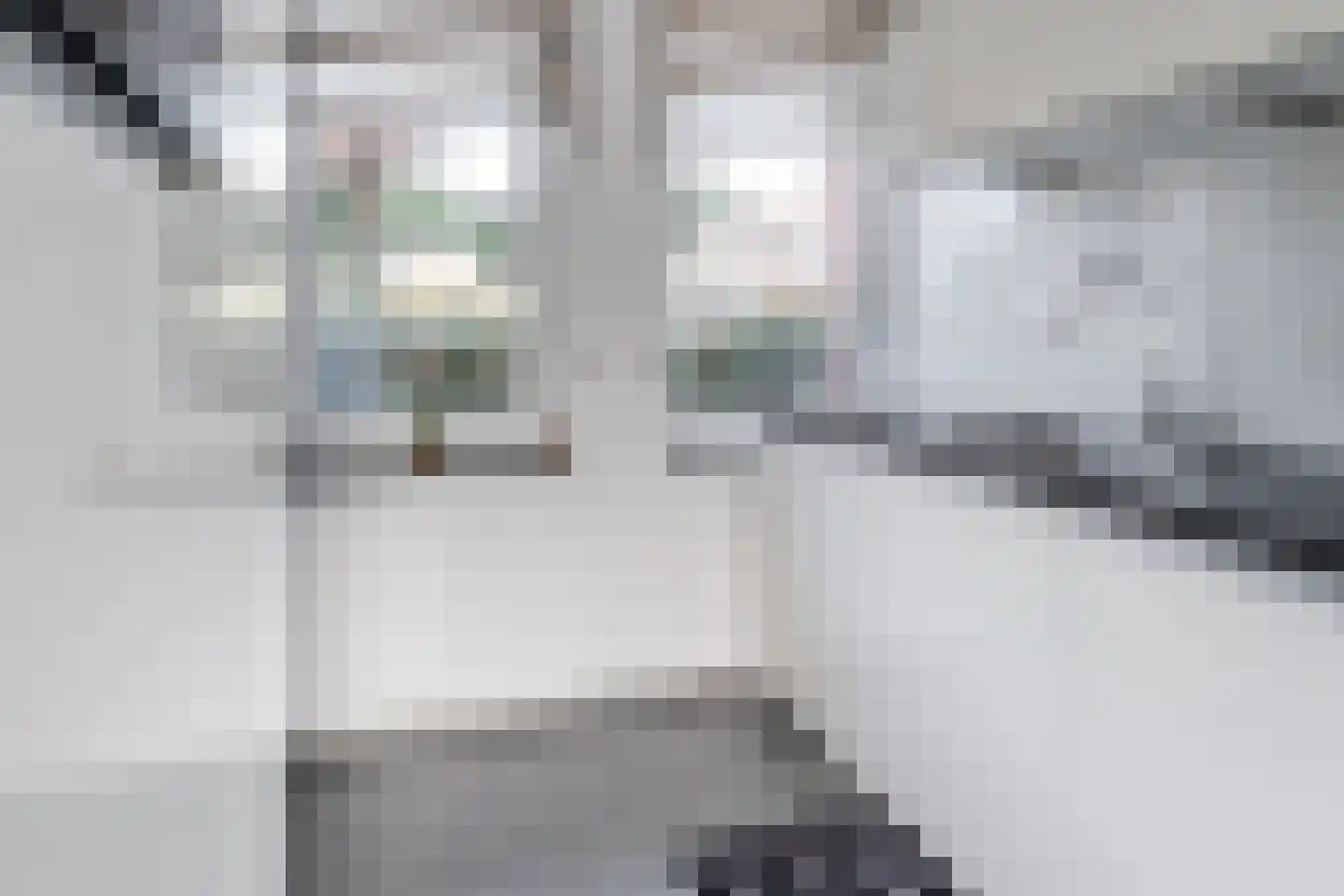 Vliehors 110 Hoofddorp thumbnail 10