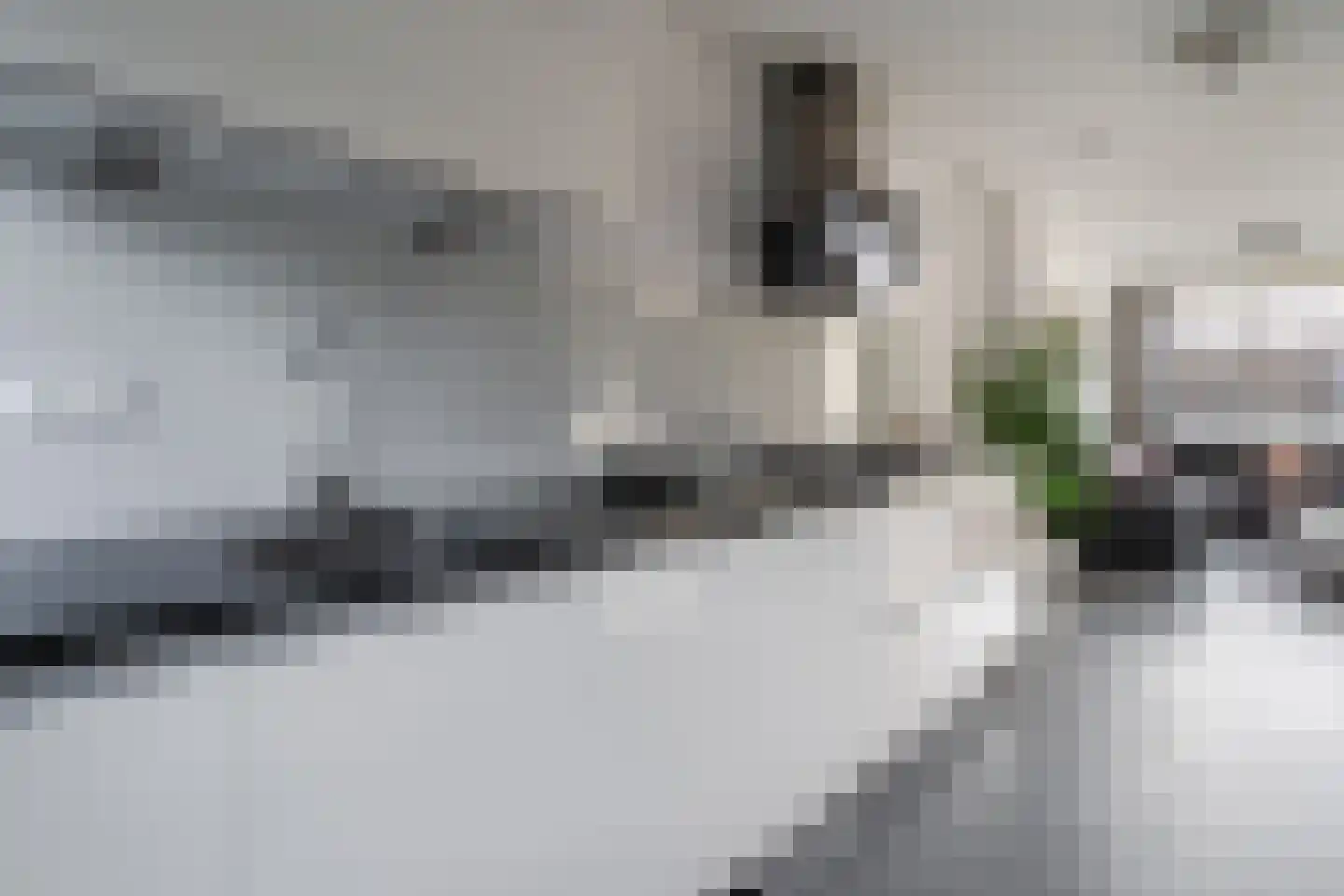 Vliehors 110 Hoofddorp thumbnail 11