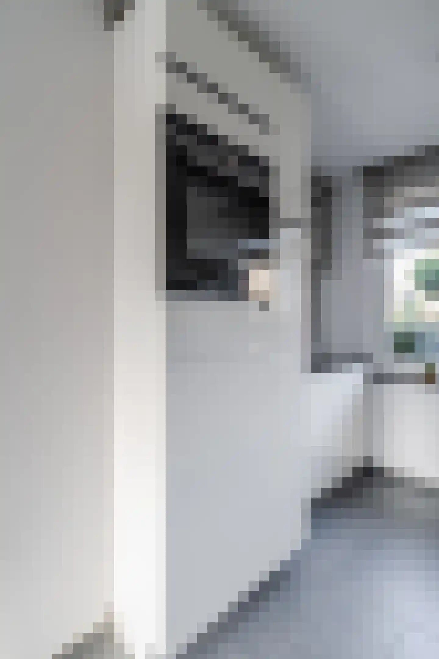 Vliehors 110 Hoofddorp thumbnail 12