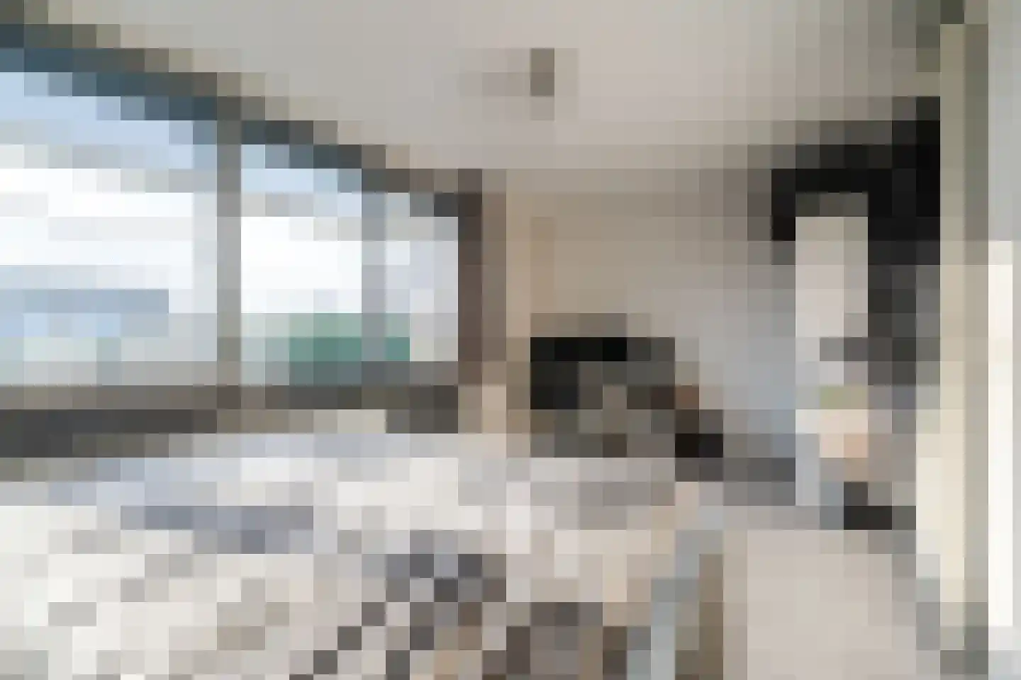 Vliehors 110 Hoofddorp thumbnail 14