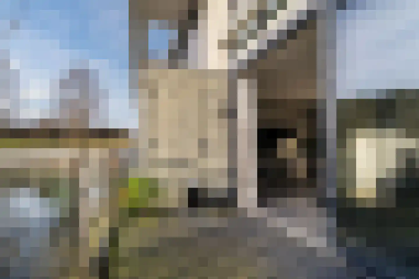 Vliehors 110 Hoofddorp thumbnail 27