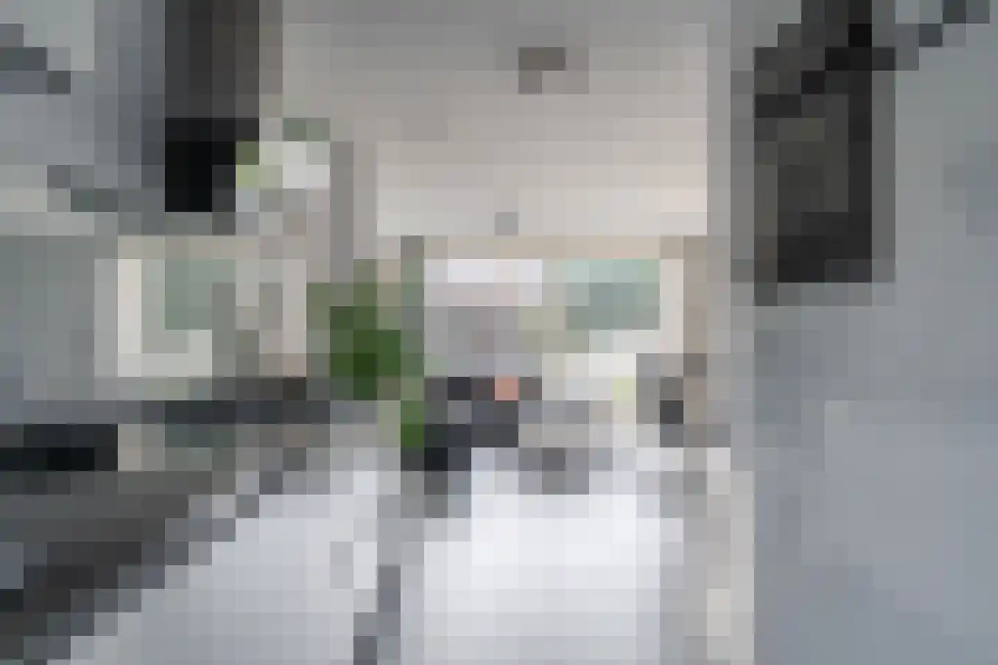 Vliehors 110 Hoofddorp thumbnail 7