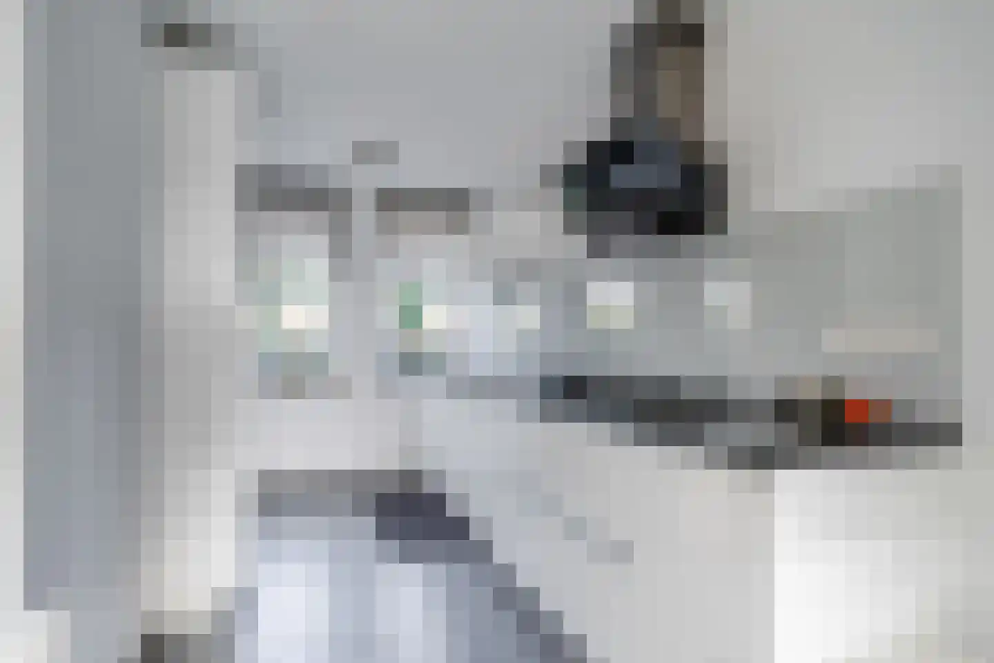 Vliehors 110 Hoofddorp thumbnail 8